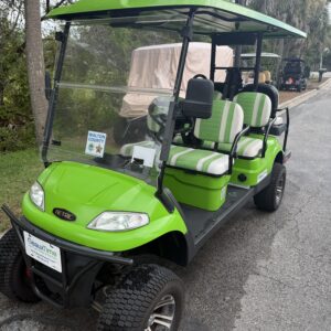 2022 Aetric 6P LSV Green