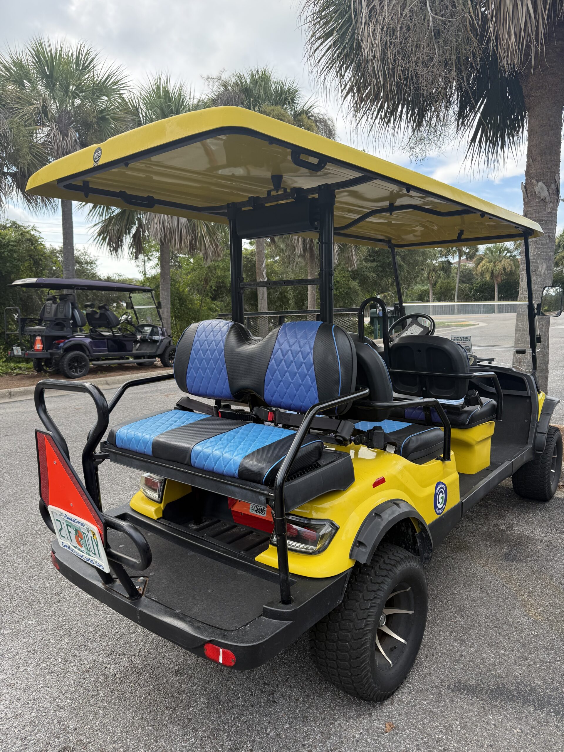 2020 Advanced EV photo 2